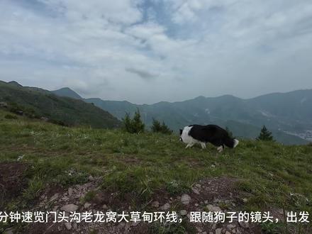 门头沟老龙窝大草甸环线 北京黄金徒步路线!全程10km,爬升710m。#老龙窝 #北京徒步路线 #带狗爬山 #夏季徒步 #北京周边徒步