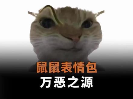 原来这就是万恶之源鼠鼠表情包的由来 #鼠鼠 #三角洲行动 #万恶之源 #鼠鼠表情包