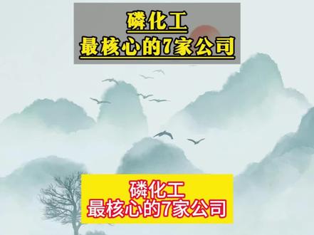 磷化工最核心的7家公司#磷化工#财经#股民#股票@抖音小助手
