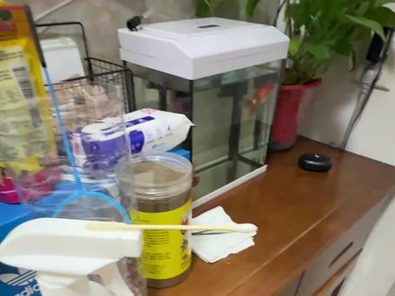 自制喷火 危险行为 请勿模仿#除除虫小技巧 #家庭消杀技巧