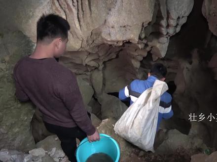 小莫带朋友山洞抓鱼,两人幽默对话真搞笑,三叔都笑翻了