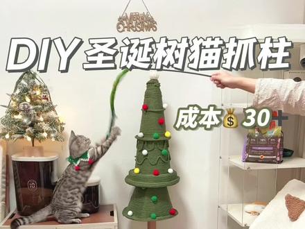 小猫也有自己的圣诞限定🎄猫抓柱啦30➕搞定
材料都放到视频最后啦,记得截图保存~
之前做过猫咪双层别墅,猫咪数千,最近又用路锥做了个🎄圣诞树猫抓柱30➕搞定,耗时三个下午终于完成啦~小猫咪很满意
#手工diy #猫爬架自制diy教程 #猫抓柱 #自制猫咪玩具 #圣诞猫