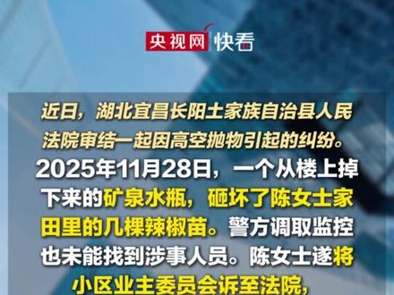 法院判了!全体业主赔偿陈女士1元