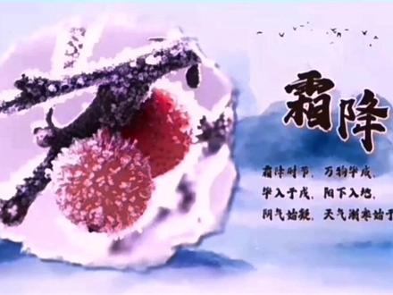 #二十四节气 #霜降 #传统文化 #知识分享 #科普 @抖音小助手