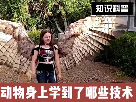 人类从动物身上学到了哪些技术?#有趣的科普知识 #每天跟我涨知识 #探索新奇 #百科知识