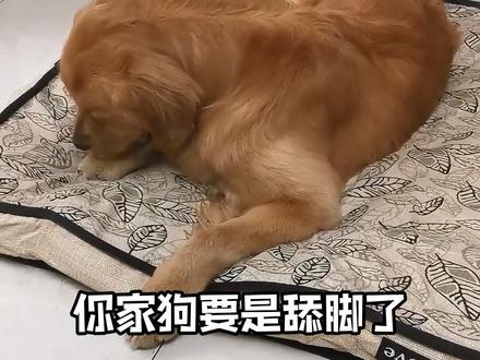 1分钟教你判断+处理趾间炎 你看狗狗红肿的脚缝,就是趾间炎。你看,脚趾缝已经发红、甚至有点臭了。狗狗越舔越痒,越痒越舔,最后会烂到流血、走路瘸腿#狗狗舔脚 #趾间炎 #新手养狗 #宠物医生 #狗狗健康