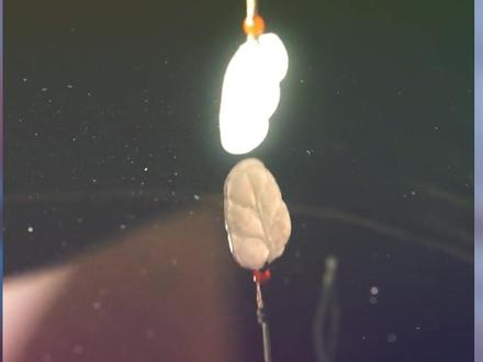 《重生七零肥妻要翻身》精彩一波接着一波,力荐好剧分享!