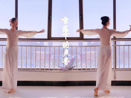 古风美体舞 | 雪落下的声音完整版 | 镜面+背面视频#我爱跳舞 #一起跳舞 #简单舞蹈教学 #古风美体舞 #燃脂美体