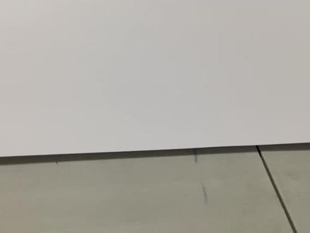 鳐鱼绘画+科普, 禁止评论无关话题