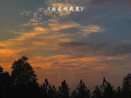 “依旧白菜对我笑”#音乐#白菜对我笑