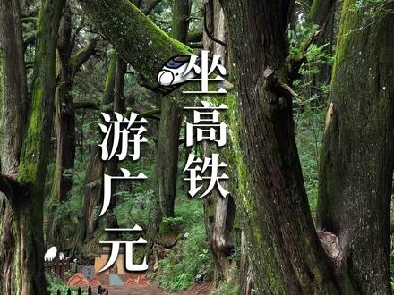 坐高铁游广元,3天2晚行程体验#广元不远周末优选 #坐高铁游广元 #剑门关 #暑假生活 #四川旅游