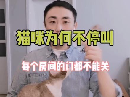 猫主子不停叫,家里每个门都不能关#海草计划 #科学养宠攻略 #猫@抖音小助手