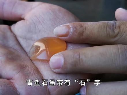男子在购买的青鱼体内发现青鱼石,它真的值钱吗?该如何取出来?(二) #青鱼 #鱼石 #科普 #知识分享