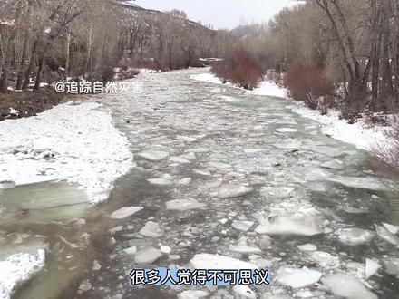 湍急的河水为什么会结冰#自然灾害 #自然奇观 #知识分享