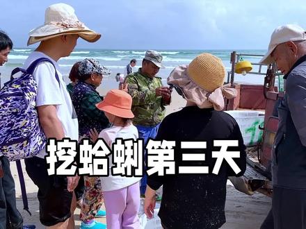 70多岁的新疆人,海边挖海白,一上午就卖了400多元,年轻人都叹服#海滩拾趣