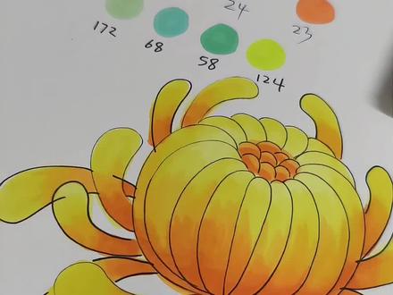 菊花不会画?看过来,糖果老师绘画小课堂开课啦!#教你画菊花 #花朵绘画教程 #简易花草画法 #马克笔手绘#简笔画教程