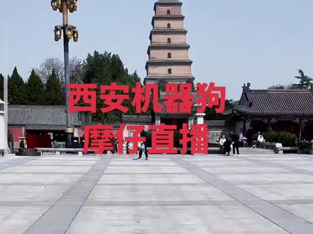 西安街头惊现机器狗!🤖古建广场上撒欢跑,科技感拉满~✨这步伐也太丝滑了吧!你爱了吗?🥰