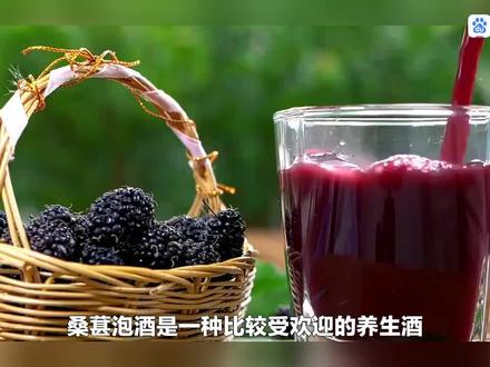 【桑葚泡酒对身体的5大好处,桑葚泡酒的制作方法】#喝出来的健康 #桑葚酒