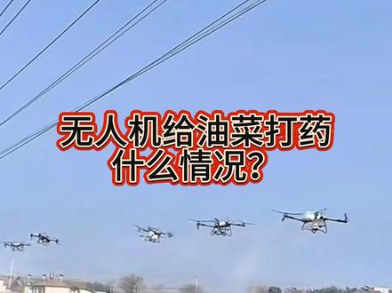 很多朋友这段时间看到无人机给油菜花喷药,不知道到底是怎么回事,今天跟大家分享一下。不过在执行飞防的同时,也要注意避开蜜蜂,尽量不要对小蜜蜂造成伤害#油菜打药 #干货分享 #新农人计划#每天跟我涨知识