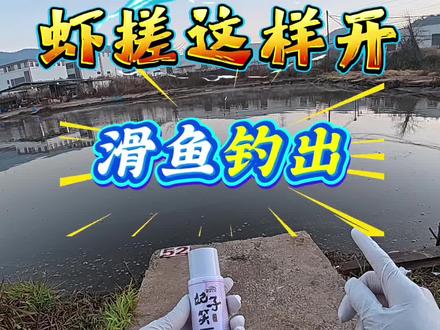 探钓陌生塘,虽然差一点上岸,但是钓的很开心!黑坑冬日难,再难也要干!#虾搓#妃子笑#灵草酒#黑坑盘老板