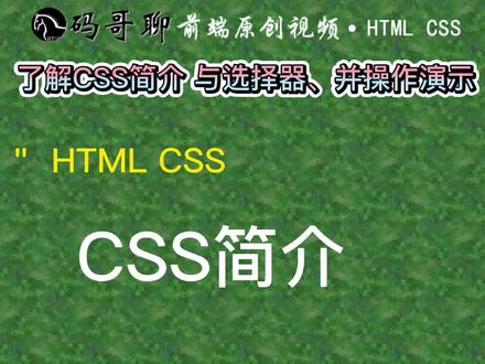 HTML CSS: 了解CSS简介及标签选择器、类选择器 #CSS