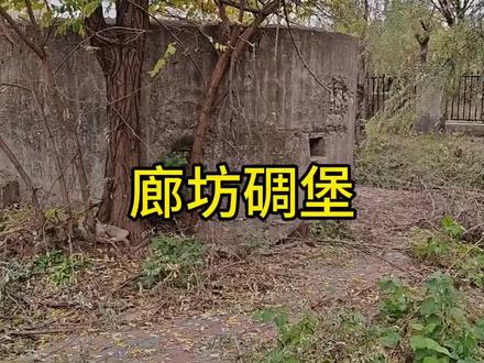 就剩下一个了 #廊坊 #城市记忆