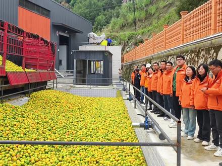 果乐迪NFC/FC橙汁,今日正式开机试产 !#果乐迪 #NFC