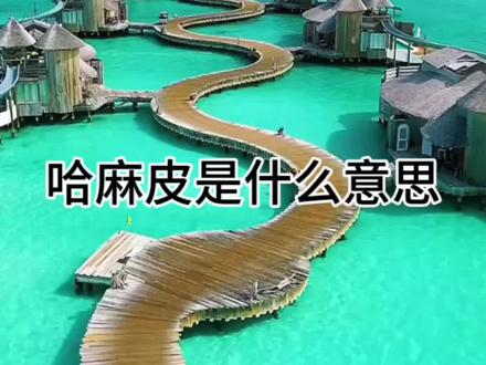 哈麻皮到底是什么意思#带你去看海