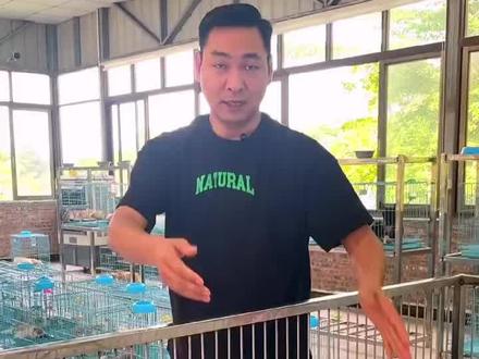 南京博美哪里有❓
南京现货博美二十多只 公母都有。纯种健康 疫苗驱虫已做 喜欢的可以上门来看
#博美 #纯种博美幼犬 #博美俊介 #小体博美 #南京犬舍