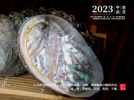 【石决明】鲍科动物九孔鲍或盘大鲍等的贝壳。#传承弘扬中国文化 #中药材 #石决明 #坚持自律