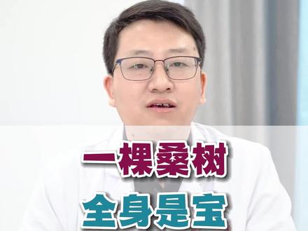 一棵桑树,全身是宝#中药 #中医 #中医科普