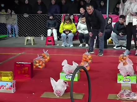 徐州的大爷还真大爷,看到最后才知道大爷有多牛#海洋大舞台#海洋1625#套猪头