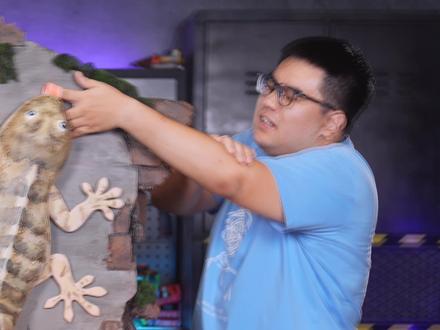 想像壁虎一样“断尾再生”?科学家:在努力了! #企鹅科普视频大赛 #科普模型 #壁虎 #再生 #受伤