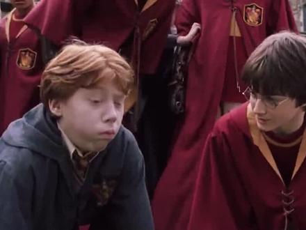 误食蛞蝓有什么后果?2010年悉尼小伙吞食蛞蝓,导致全身瘫痪 #动物 #鼻涕虫 #蛞蝓