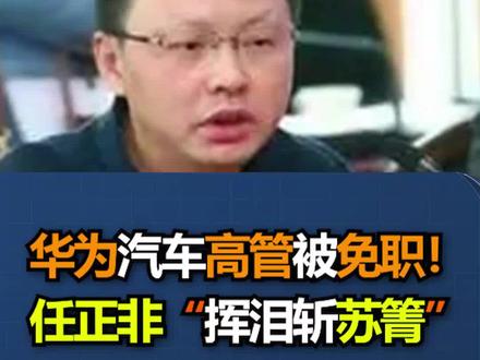 华为汽车高管被免职!任正非“挥泪斩苏箐”#华为#任正非#苏箐