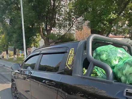 带你体验雷达皮卡车走绿通,免高速费全过程! #吉利新能源皮卡 #斗里有年味 #绿通 #皮卡车 #回家过年 @吉利雷达-甄选