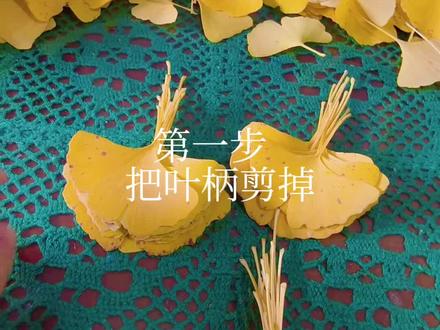 千呼万唤的超详细教程!它来啦!#银杏 #银杏花束 #教程 #捡秋