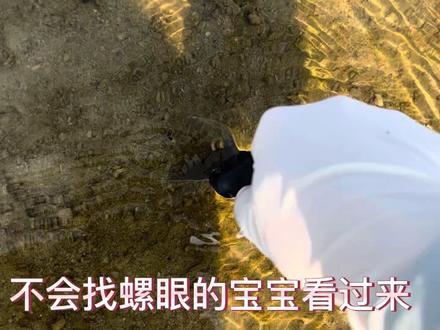 不会看螺眼的请进 #赶海 #赶海
