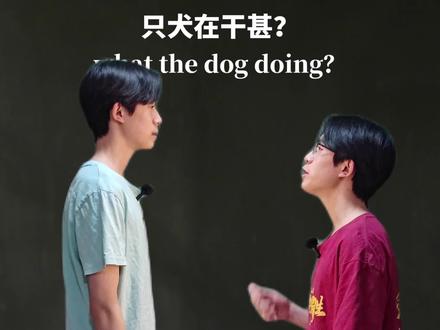 我的刀盾好丝滑 #我的刀盾 #抽象 #搞笑 #一人分饰多角 #曹稿纸