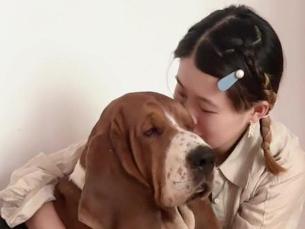 #狗狗 #怀孕 毛孩子不会说话,但是会始终陪伴。