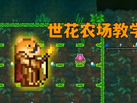 世纪之花的农场教学!#泰拉瑞亚