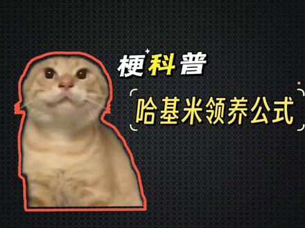 哈基米领养公式是什么梗?#梗 #哈基米 #小猫 #流浪猫