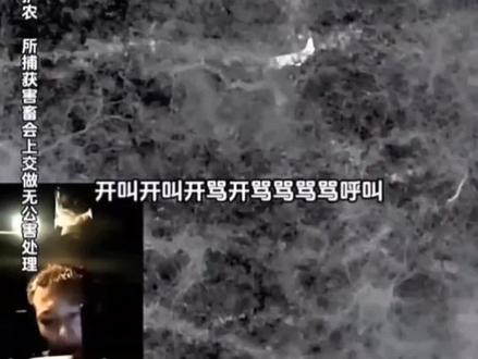 二娃一口定乾坤属老吴喊得凶,最后二娃挨凶了#头犬 #西北刀客 #西北刀客大娃二娃