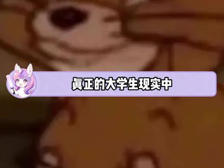 大学碰到这样的队友真的会偷着乐 #仁义 #大学生 #搞笑 #小组作业 #万万没想到