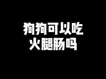 狗狗可以吃火腿肠吗?#狗狗 #萌宠