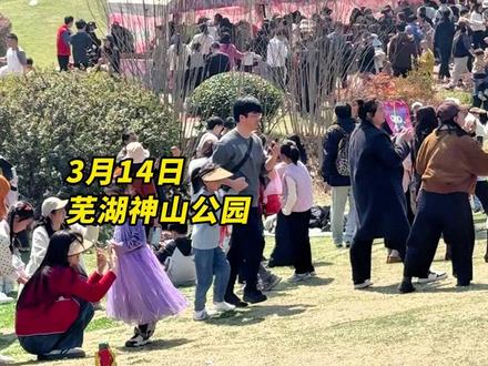 神山公园爱心树等网红点位大排队 很特别 很有新意 很热闹 3月14日,天气晴好,芜湖神山公园的网红打卡点人气爆满,芜湖市民携家带口前往打卡。#芜湖 #神山公园 #郁金香