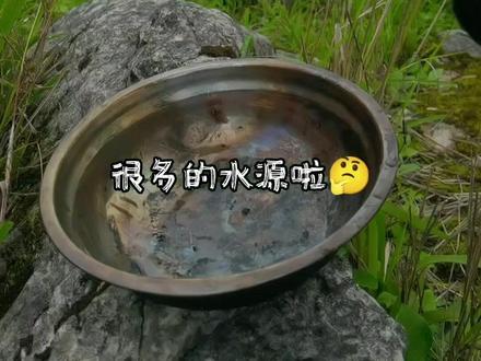 挑战荒野逃婚300天
第19天:在野外如何解决水源的问题???#荒野逃婚 #战斧萝莉 #户外
