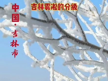 #热门话题 #吉林雾凇的分级 吉林雾凇按照由低到高分为五个星级#春节热门旅行地推荐 #吉林雾凇名不虚传 #旅行推荐官