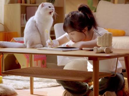 塔斯汀猫窝来啦!这个冬天猫在一起过吧~ #塔斯汀猫窝 #塔斯汀中国汉堡