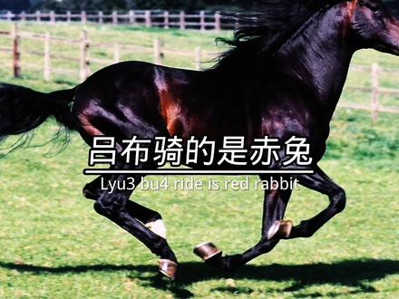 赵云骑的是夜照玉狮子,曹操骑的是绝影,吕布骑的是赤兔,项羽骑的是乌骓,你们还知道哪些神马?#古代战马@抖音小助手 @DOU+小助手 @抖音创作者学习中心